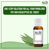 Eucalyptus Essential Oil – Anti-Bacterial Formula & Treats Acne, Acne Scars & Blemishes, Alleviates Pain, Headaches & Inflammation